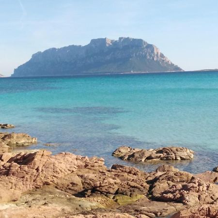 Aria Di Vacanza - Gelsi Olbia Exteriör bild