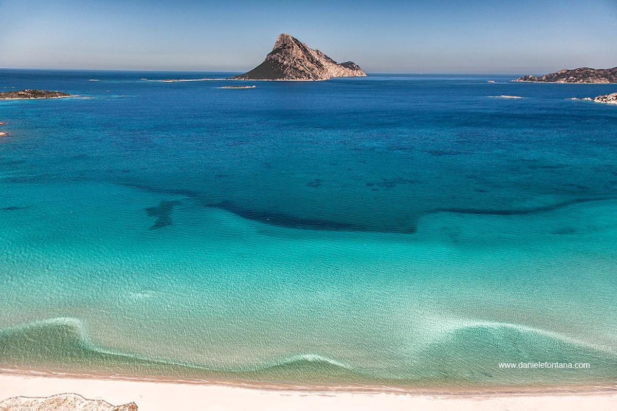 Aria Di Vacanza - Gelsi Olbia Exteriör bild