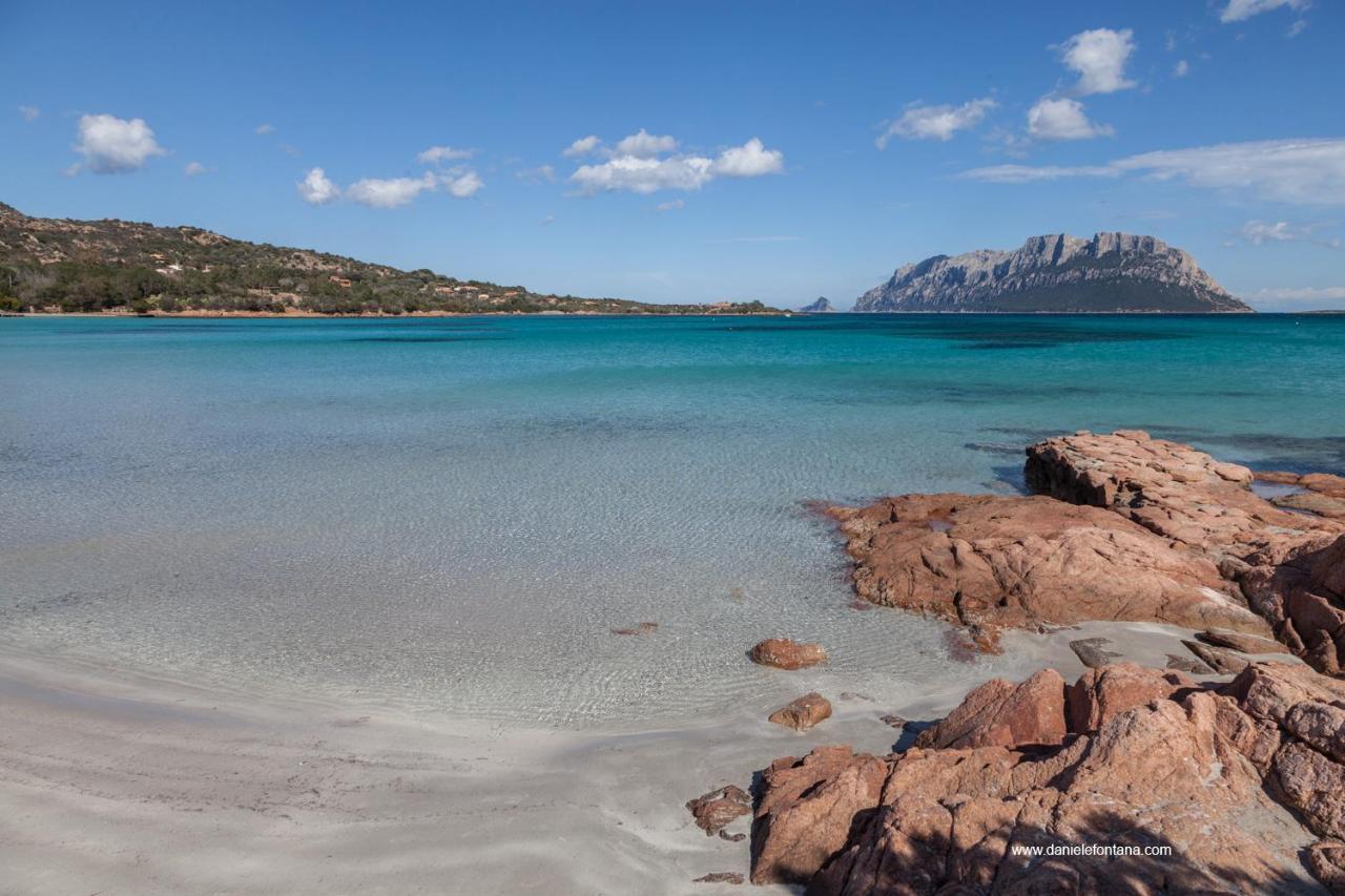 Aria Di Vacanza - Gelsi Olbia Exteriör bild