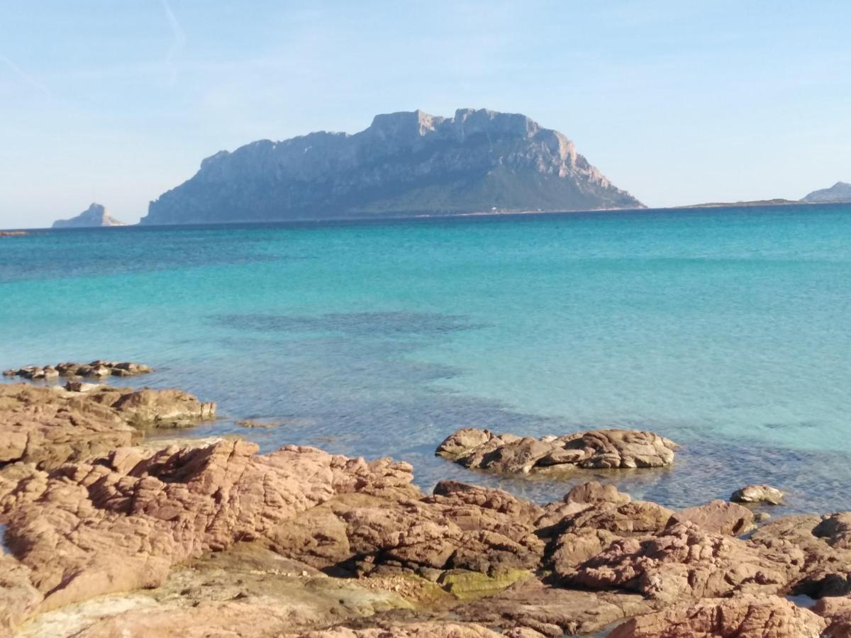 Aria Di Vacanza - Gelsi Olbia Exteriör bild